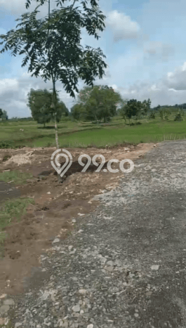 Lahan untuk Dijual di Tigaraksa Tangerang Luas 500000m2 Lahan untuk Dijual di Tigaraksa Tangerang Luas 500000m2