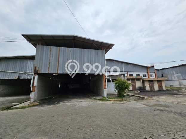 Jarang Ada! Tanah di Balaraja Punya Luas 20000m2 - Jarang Ada! Tanah di Balaraja Punya Luas 20000m2 -