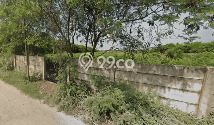 Untuk Dijual Tanah di Pakuhaji Tangerang Luas 4514m2 SHM Untuk Dijual Tanah di Pakuhaji Tangerang Luas 4514m2 SHM