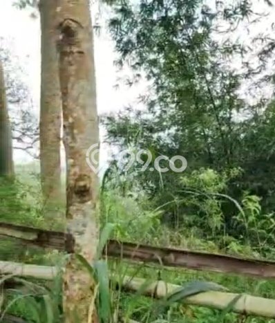 Kavling Tanah Dijual di Cimenyan Bandung Spesifikasi 14000m2 Kavling Tanah Dijual di Cimenyan Bandung Spesifikasi 14000m2