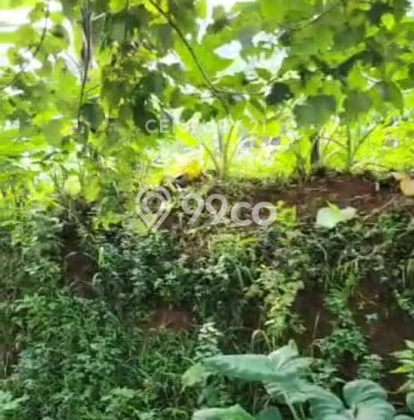 Kavling Tanah Dijual di Cimenyan Bandung Spesifikasi 14000m2 Kavling Tanah Dijual di Cimenyan Bandung Spesifikasi 14000m2