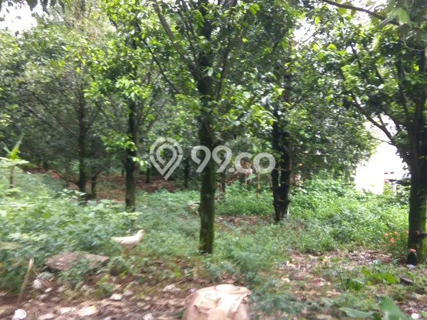 Tanah Dijual Lokasi Tamansari, Bogor Luas 800m2 Legalitas Aman Tanah Dijual Lokasi Tamansari, Bogor Luas 800m2 Legalitas Aman