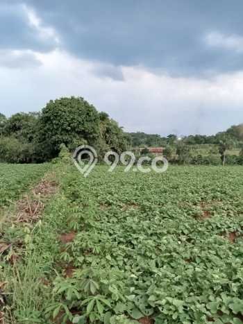 Lahan untuk Dijual Lokasi Citeureup, Bogor Luas 15000m2 SHM Lahan untuk Dijual Lokasi Citeureup, Bogor Luas 15000m2 SHM