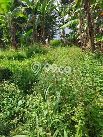 Lahan Dijual Lokasi Strategis di Bogor dengan Luas 10000m2 Lahan Dijual Lokasi Strategis di Bogor dengan Luas 10000m2
