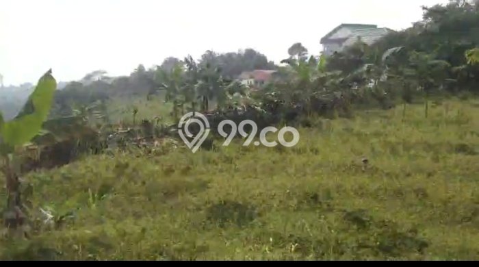 Jarang Ada! Tanah di Ciampea Punya Luas 1647m2 SHM Jarang Ada! Tanah di Ciampea Punya Luas 1647m2 SHM