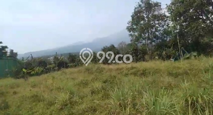 Jarang Ada! Tanah di Ciampea Punya Luas 1647m2 SHM Jarang Ada! Tanah di Ciampea Punya Luas 1647m2 SHM