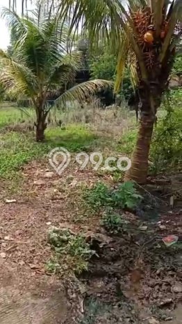 Kavling Tanah Dijual di Cikarang Barat Bekasi Spesifikasi 684m2 Kavling Tanah Dijual di Cikarang Barat Bekasi Spesifikasi 684m2