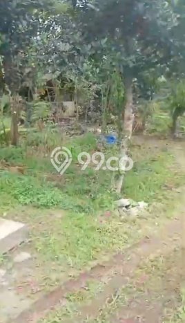 Tanah di Tamansari, Bogor Luas 10000m2 Dijual Segera Tanah di Tamansari, Bogor Luas 10000m2 Dijual Segera