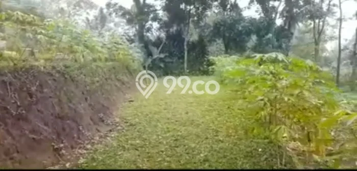 Dijual Tanah di Tamansari Bogor Luas 1500m2 SHM Dijual Tanah di Tamansari Bogor Luas 1500m2 SHM
