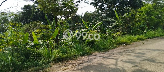 Tanah Dijual di Bogor Seluas 26000m2 Strategis Tanah Dijual di Bogor Seluas 26000m2 Strategis