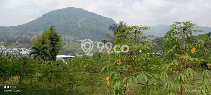Lahan Dijual Lokasi Strategis di Bogor dengan Luas 2672m2 Lahan Dijual Lokasi Strategis di Bogor dengan Luas 2672m2