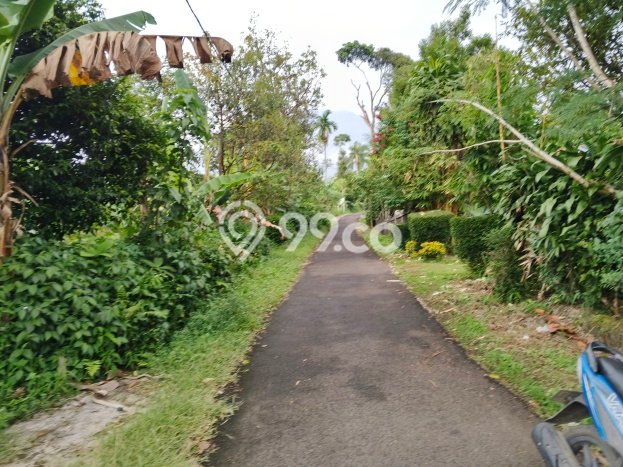 Jarang Ada! Tanah di Tamansari Punya Luas 1821m2 SHM Jarang Ada! Tanah di Tamansari Punya Luas 1821m2 SHM