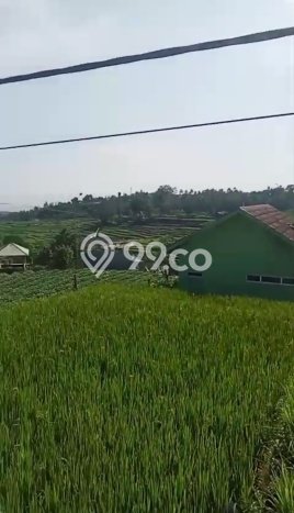 Kavling Tanah Dijual di Pamijahan Bogor Spesifikasi 1000m2 Kavling Tanah Dijual di Pamijahan Bogor Spesifikasi 1000m2