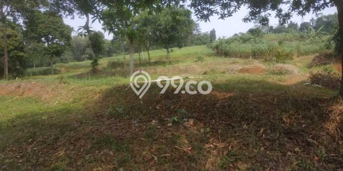 Tanah di Citeureup, Bogor Luas 10170m2 Dijual Segera Tanah di Citeureup, Bogor Luas 10170m2 Dijual Segera