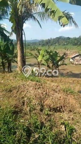Lahan Strategis di Sukamakmur Dijual dengan Luas 10000m2 Lahan Strategis di Sukamakmur Dijual dengan Luas 10000m2