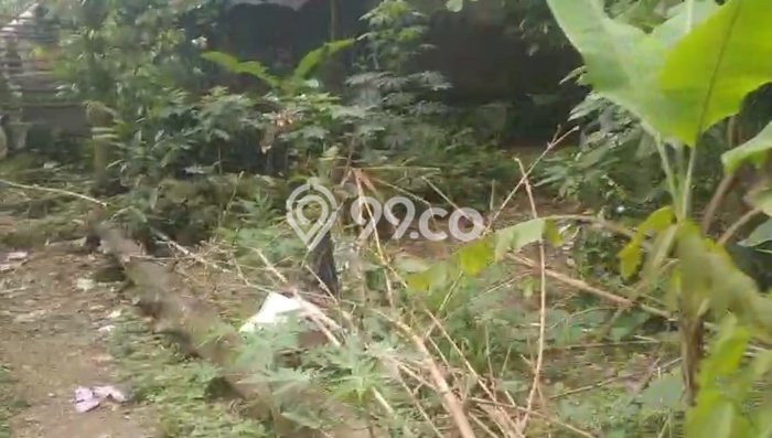 Kavling Tanah untuk Dijual di Laladon, Bogor, Luas 200m2 Kavling Tanah untuk Dijual di Laladon, Bogor, Luas 200m2