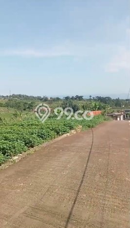 Kavling Tanah Dijual di Pamijahan Bogor Spesifikasi 1000m2 Kavling Tanah Dijual di Pamijahan Bogor Spesifikasi 1000m2