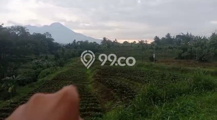Tanah Kavling untuk Dijual di Dramaga Bogor 1800m2 Tanah Kavling untuk Dijual di Dramaga Bogor 1800m2