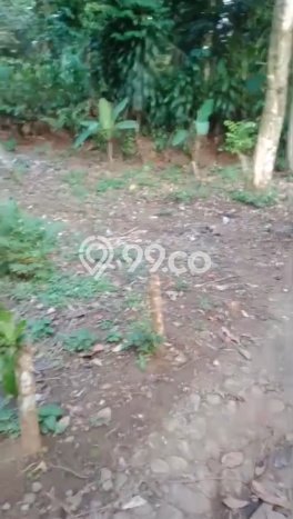 Kavling Tanah Dijual di Sukajaya Bogor Spesifikasi 130m2 Kavling Tanah Dijual di Sukajaya Bogor Spesifikasi 130m2