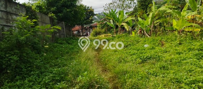 Tanah Dijual Lokasi Strategis di Bogor dengan Luas 14000m2 Tanah Dijual Lokasi Strategis di Bogor dengan Luas 14000m2