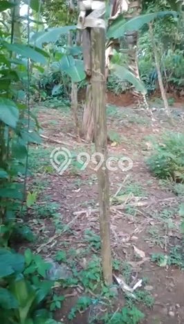 Kavling Tanah Dijual di Sukajaya Bogor Spesifikasi 130m2 Kavling Tanah Dijual di Sukajaya Bogor Spesifikasi 130m2