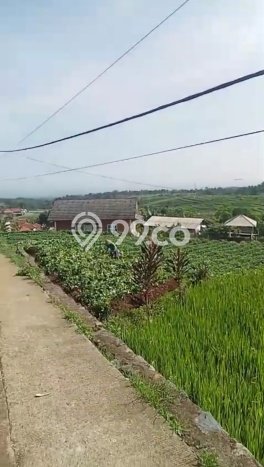 Kavling Tanah Dijual di Pamijahan Bogor Spesifikasi 1000m2 Kavling Tanah Dijual di Pamijahan Bogor Spesifikasi 1000m2