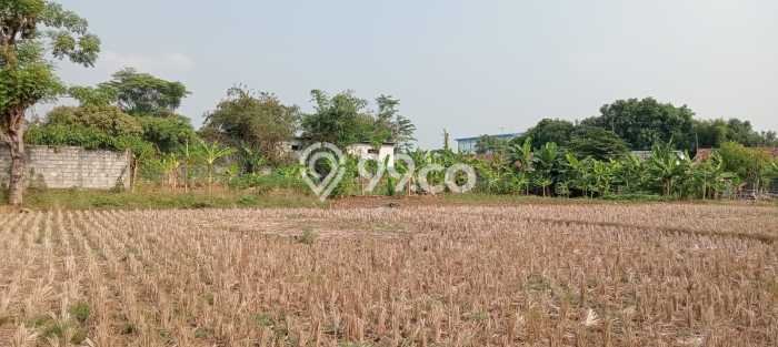 Lahan Dijual Lokasi Klari, Karawang dengan Luas Tanah 62000m2 dan Status - Lahan Dijual Lokasi Klari, Karawang dengan Luas Tanah 62000m2 dan Status -