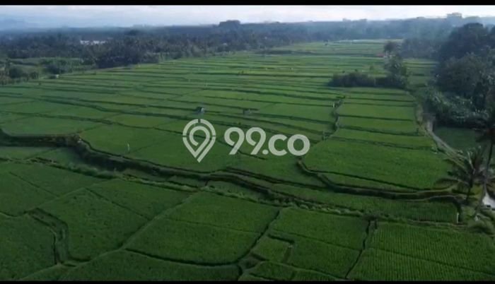 Lahan Dijual Lokasi Denpasar Timur, Denpasar dengan Luas Tanah 66000m2 dan Status SHM Lahan Dijual Lokasi Denpasar Timur, Denpasar dengan Luas Tanah 66000m2 dan Status SHM
