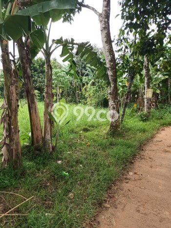 Tanah Strategis Dijual di Cileungsi Bogor 5360m2 Tanah Strategis Dijual di Cileungsi Bogor 5360m2