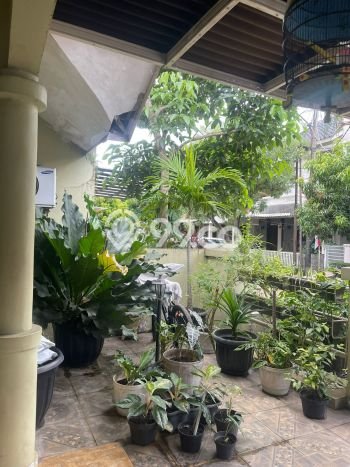 Rumah Luas Asri 3 KT Siap Pakai di Sektor 3A - Bintaro Tangerang Selatan Rumah Luas Asri 3 KT Siap Pakai di Sektor 3A - Bintaro Tangerang Selatan