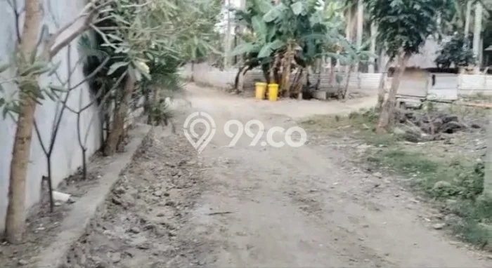 Tanah Komersial Dijual di Pujut Lombok Tengah 5471m2 Tanah Komersial Dijual di Pujut Lombok Tengah 5471m2