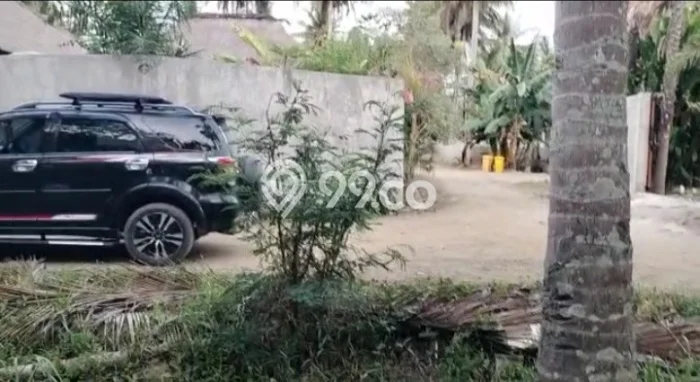 Tanah Komersial Dijual di Pujut Lombok Tengah 5471m2 Tanah Komersial Dijual di Pujut Lombok Tengah 5471m2