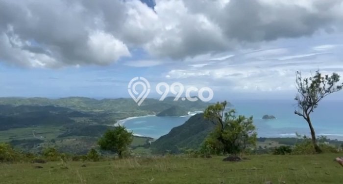 Tanah Komersial Dijual di Pujut Lombok Tengah 430000m2 Tanah Komersial Dijual di Pujut Lombok Tengah 430000m2