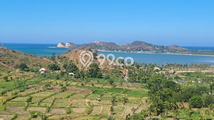 Lahan Kosong Dijual di Lombok Tengah dengan Area 40000m2 Lahan Kosong Dijual di Lombok Tengah dengan Area 40000m2