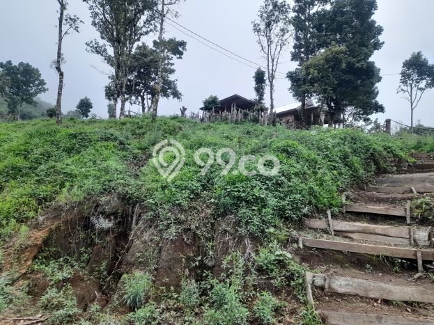 Lahan Dijual Lokasi Sembalun, Lombok Timur dengan Luas Tanah 8000m2 dan Status - Lahan Dijual Lokasi Sembalun, Lombok Timur dengan Luas Tanah 8000m2 dan Status -