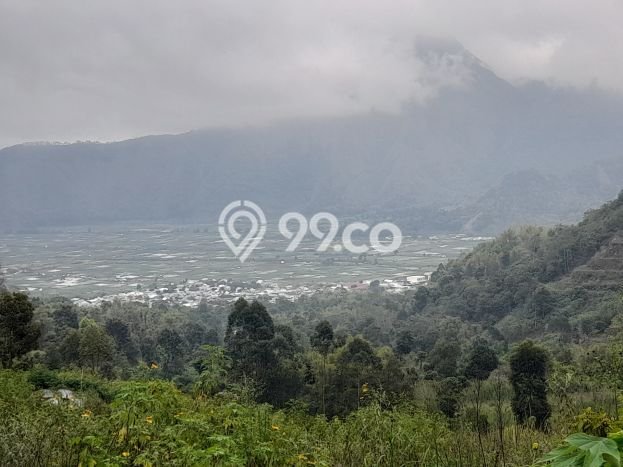 Lahan Dijual Lokasi Sembalun, Lombok Timur dengan Luas Tanah 8000m2 dan Status - Lahan Dijual Lokasi Sembalun, Lombok Timur dengan Luas Tanah 8000m2 dan Status -