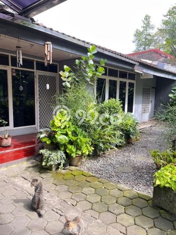 Hunian Nyaman Asri 4 KT Siap Pakai di Setiabudi Bandung Hunian Nyaman Asri 4 KT Siap Pakai di Setiabudi Bandung