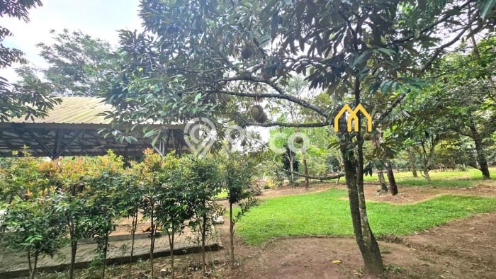 Kavling Tanah Dijual di Serang Serang Spesifikasi 5283m2 Kavling Tanah Dijual di Serang Serang Spesifikasi 5283m2