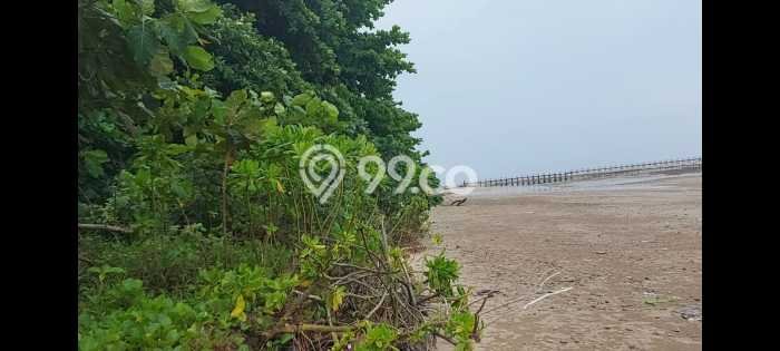 For Sale Tanah Kawasan Balikpapan Timur, Luas 22640m², Akses Balikpapan Timur, Balikpapan, Balikpapan For Sale Tanah Kawasan Balikpapan Timur, Luas 22640m², Akses Balikpapan Timur, Balikpapan, Balikpapan