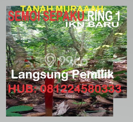 AREA PROSPEKTIF! Tanah Kawasan Sepaku, Luas 17500m², Akses Fasilitas Umum, Kawasan Berkembang AREA PROSPEKTIF! Tanah Kawasan Sepaku, Luas 17500m², Akses Fasilitas Umum, Kawasan Berkembang