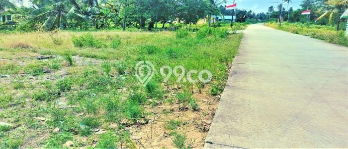 Dijual Tanah Kawasan Penajam, Luas 1e+06m², Dekat Penajam, Penajam Paser Utara, Penajam Paser Utara Dijual Tanah Kawasan Penajam, Luas 1e+06m², Dekat Penajam, Penajam Paser Utara, Penajam Paser Utara