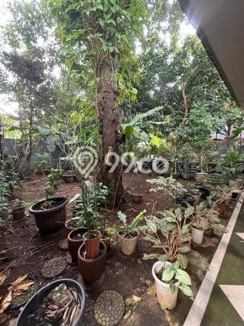 Tanah Dijual Lokasi Strategis di Jakarta Selatan dengan Luas 242m2 Tanah Dijual Lokasi Strategis di Jakarta Selatan dengan Luas 242m2