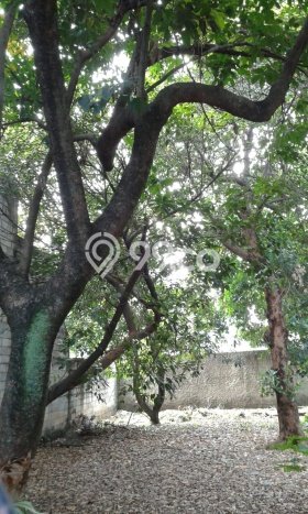 Tanah Dijual Lokasi Strategis di Jakarta Selatan dengan Luas 446m2 Tanah Dijual Lokasi Strategis di Jakarta Selatan dengan Luas 446m2
