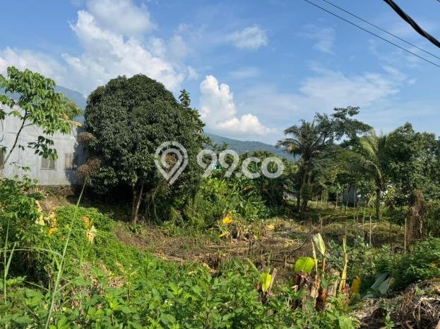 Tanah Dijual Area Strategis di Ungaran Semarang 1704m2 Tanah Dijual Area Strategis di Ungaran Semarang 1704m2
