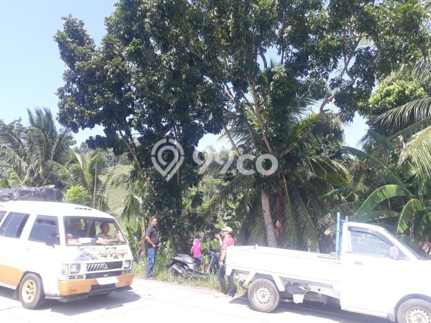 Tanah Kavling untuk Dijual di Bakauheni Lampung Selatan 80000m2 Tanah Kavling untuk Dijual di Bakauheni Lampung Selatan 80000m2