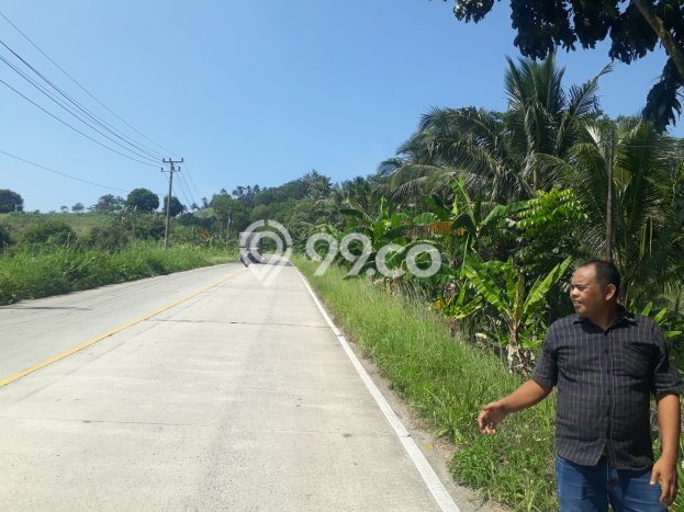 Tanah Kavling untuk Dijual di Bakauheni Lampung Selatan 80000m2 Tanah Kavling untuk Dijual di Bakauheni Lampung Selatan 80000m2