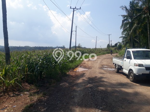 Tanah Kavling untuk Dijual di Bakauheni Lampung Selatan 80000m2 Tanah Kavling untuk Dijual di Bakauheni Lampung Selatan 80000m2