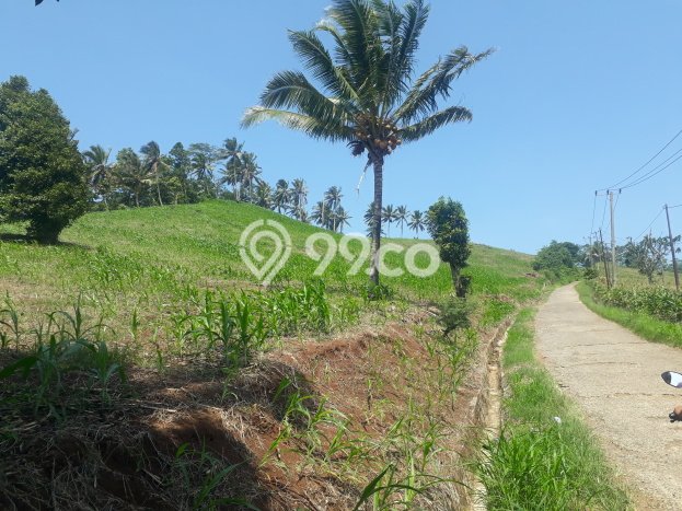Tanah Kavling untuk Dijual di Bakauheni Lampung Selatan 80000m2 Tanah Kavling untuk Dijual di Bakauheni Lampung Selatan 80000m2