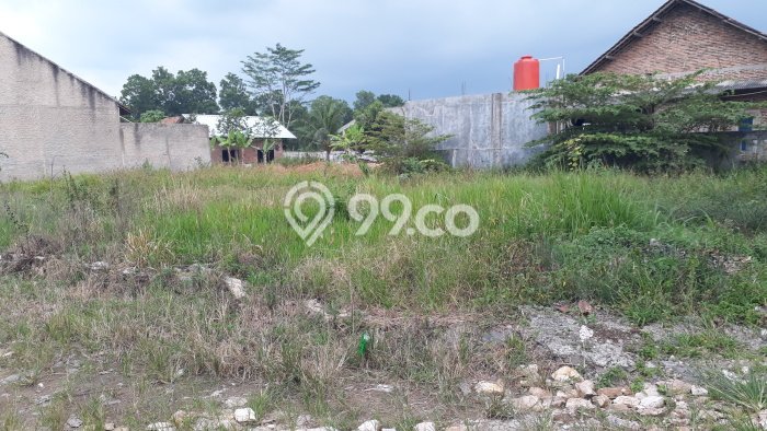 Lahan Dijual Lokasi Jati Agung, Lampung Selatan dengan Luas Tanah 400m2 dan Status SHM Lahan Dijual Lokasi Jati Agung, Lampung Selatan dengan Luas Tanah 400m2 dan Status SHM