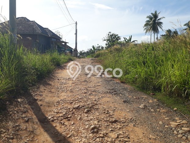 Kavling Tanah Dijual di Tanjung Bintang Lampung Selatan Spesifikasi 52000m2 Kavling Tanah Dijual di Tanjung Bintang Lampung Selatan Spesifikasi 52000m2